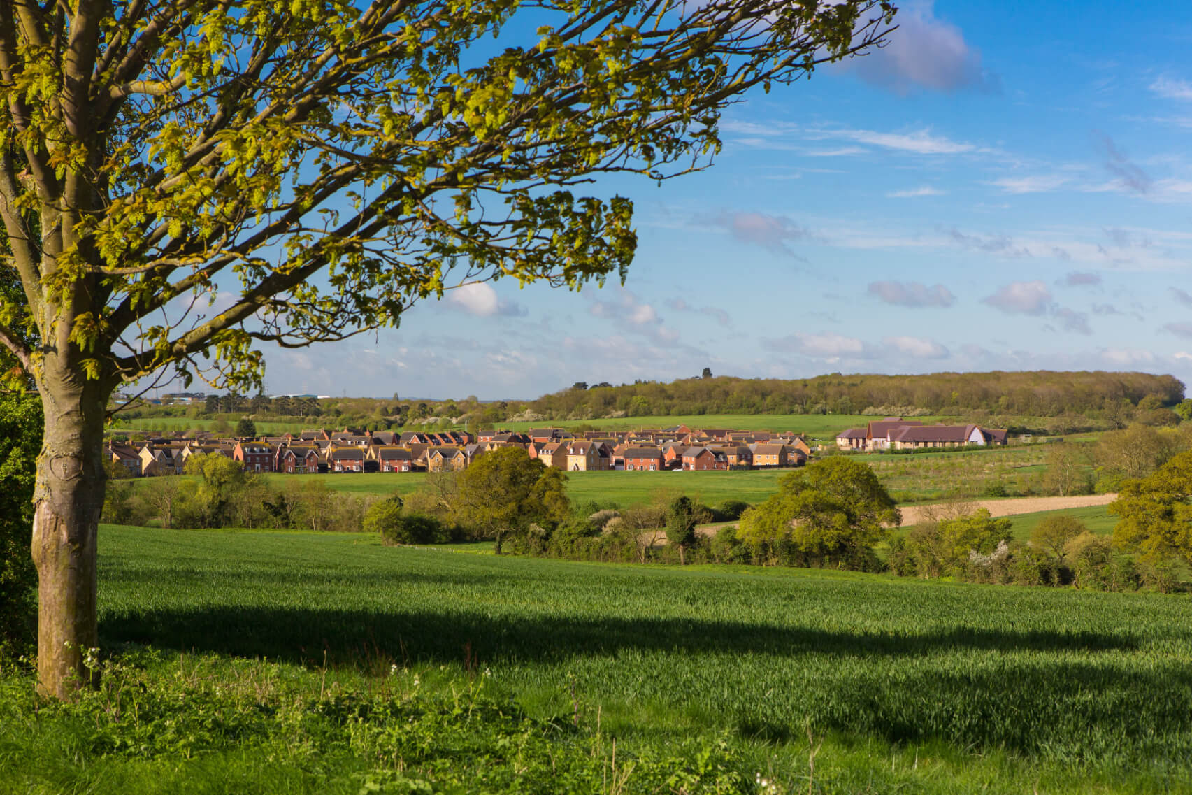 Woodlands Park Bedfordia Property